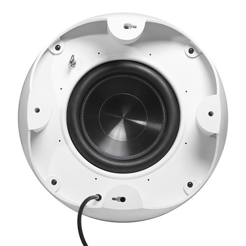 10'' Down-Firing Landscape Subwoofer