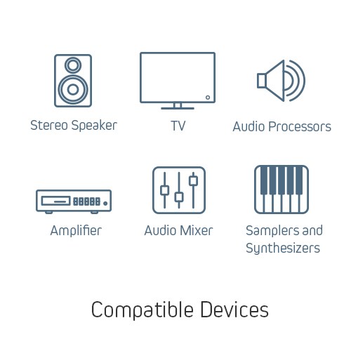 Dual 6.3mm (1/4