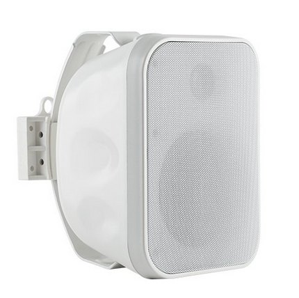 5.25'' Indoor / Outdoor 2-Way Wall Speaker